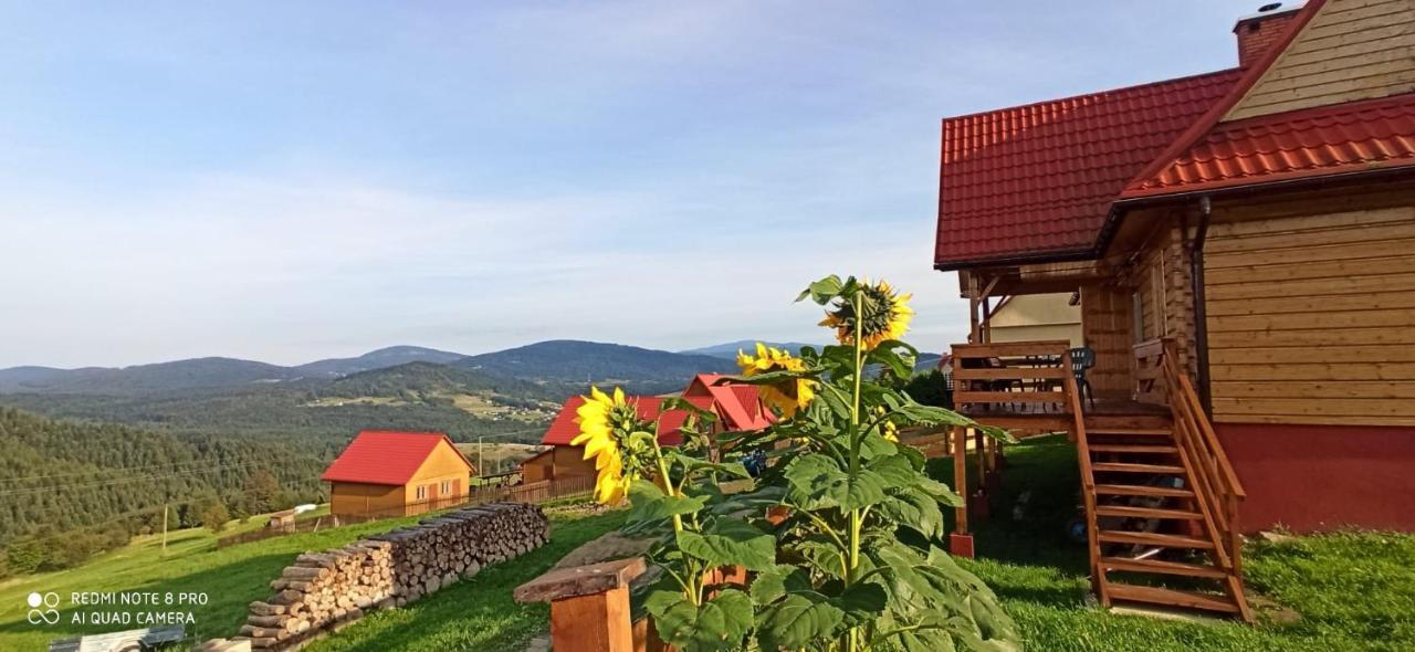 Chata Z Widokiem Na Babia Gore Pewel Wielka Buitenkant foto