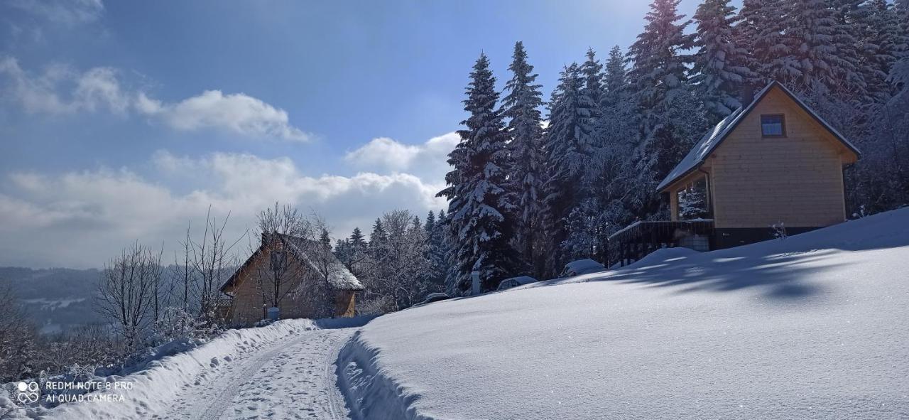 Chata Z Widokiem Na Babia Gore Pewel Wielka Buitenkant foto