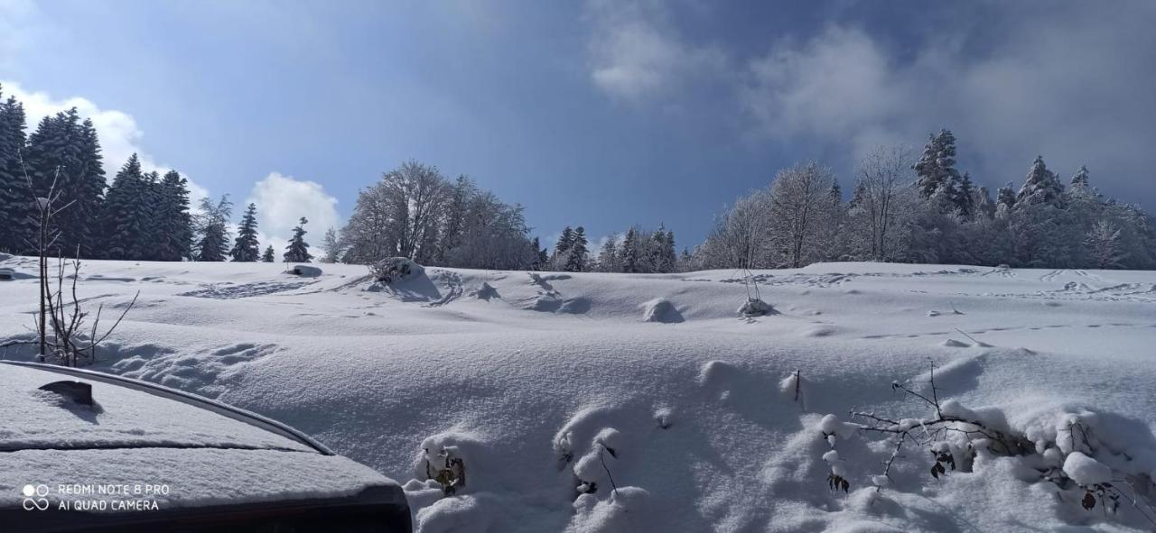 Chata Z Widokiem Na Babia Gore Pewel Wielka Buitenkant foto